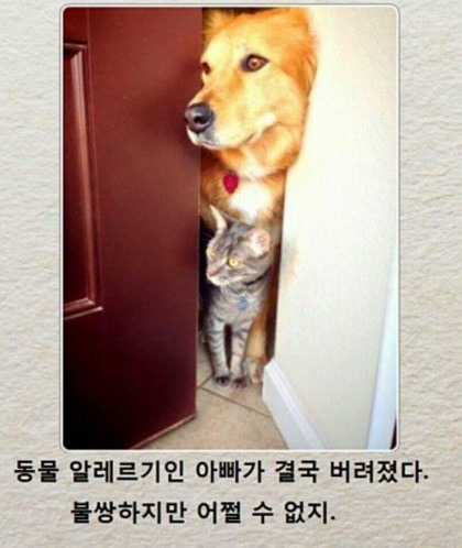 제목학원 레전드 모음 (귀여운것들 섞여잇음) | 인스티즈