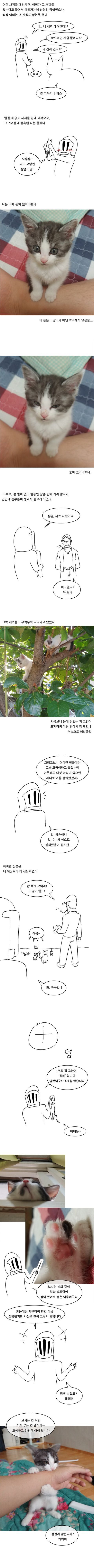 무뚝뚝한 경상도 삼촌이 고양이 키운 썰 | 인스티즈
