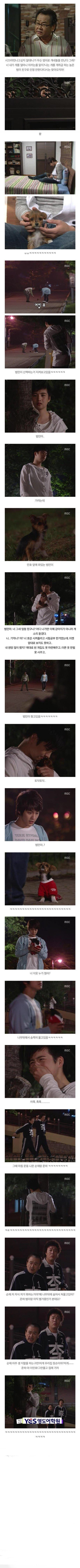 거침없이 하이킥 범민 강아지 레전드.jpg | 인스티즈