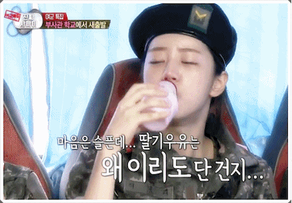 레전드였던 진짜사나이 혜리 먹방 gif | 인스티즈