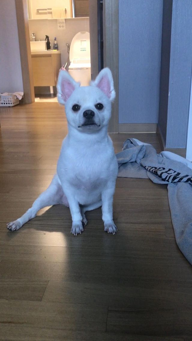 오늘자 크러쉬 두유 | 인스티즈
