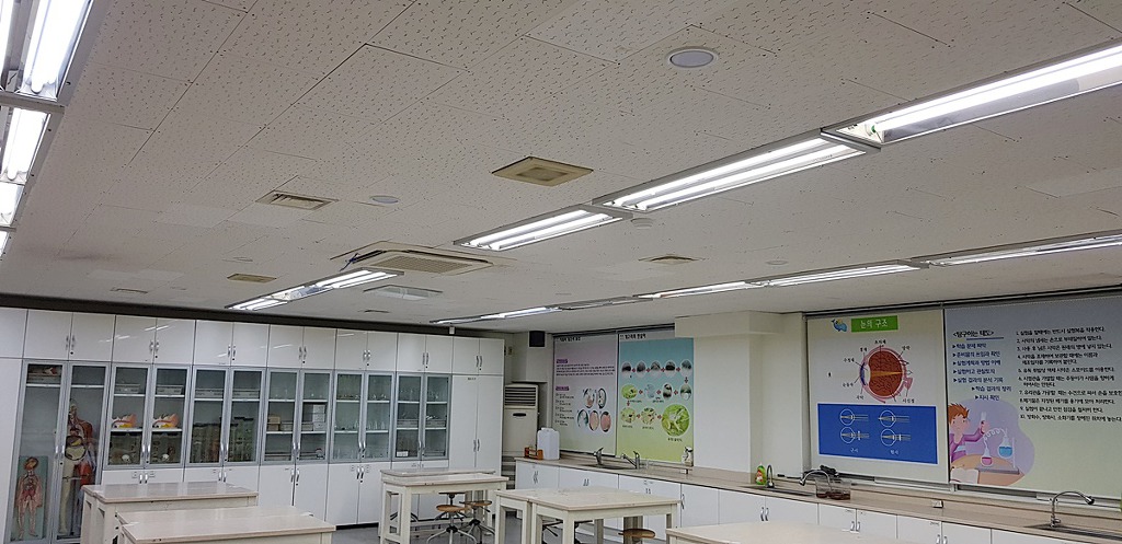 장성중학교 이미지