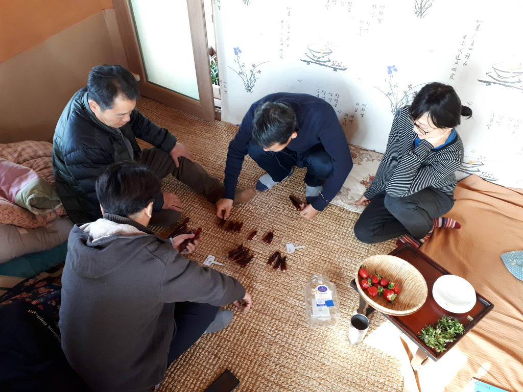 씨드림 이미지
