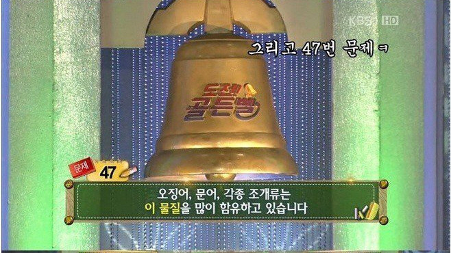 골든벨 문제 쉽네 ㅋㅋㅋㅋㅋ | 인스티즈