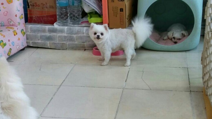 엄마커피 이미지