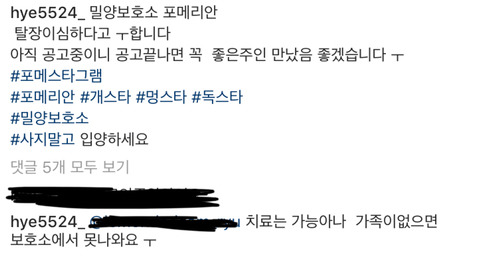 태어난지 얼마 안 된 새끼들과 어미견들이 많은 밀양보호소의 아이들을 구해주세요. 도와주세요 | 인스티즈