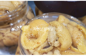 자연산회통영붕장어 이미지