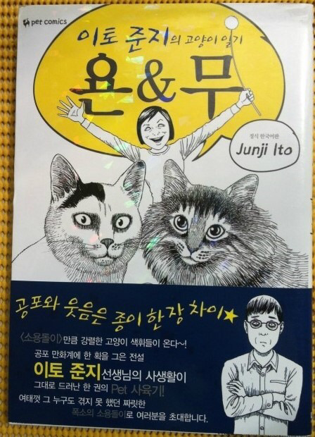 이토준지식... 고양이 사랑...jpg | 인스티즈