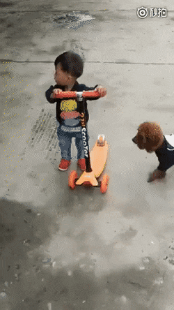 애한테서 킥보드 뺏는 개양아치;.gif | 인스티즈