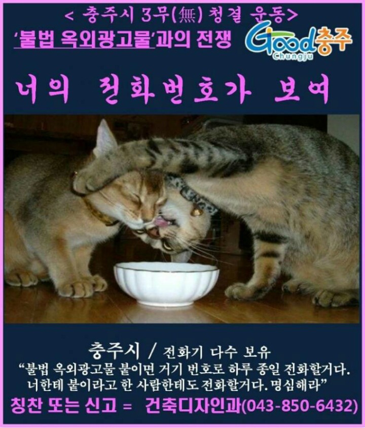 문제의 충주시 홍보 포스터들.jpg | 인스티즈