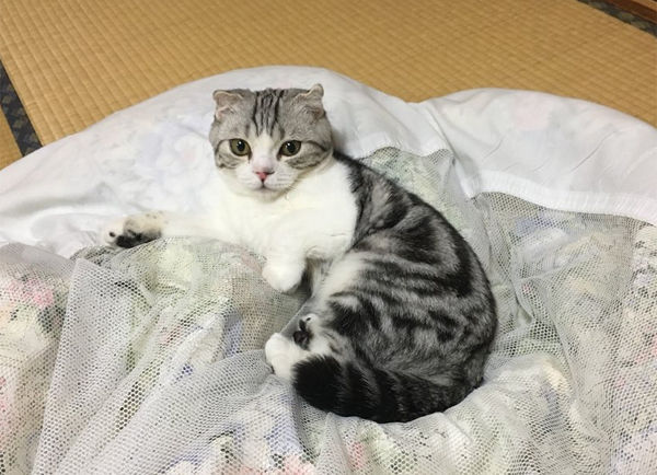 장여관 이미지