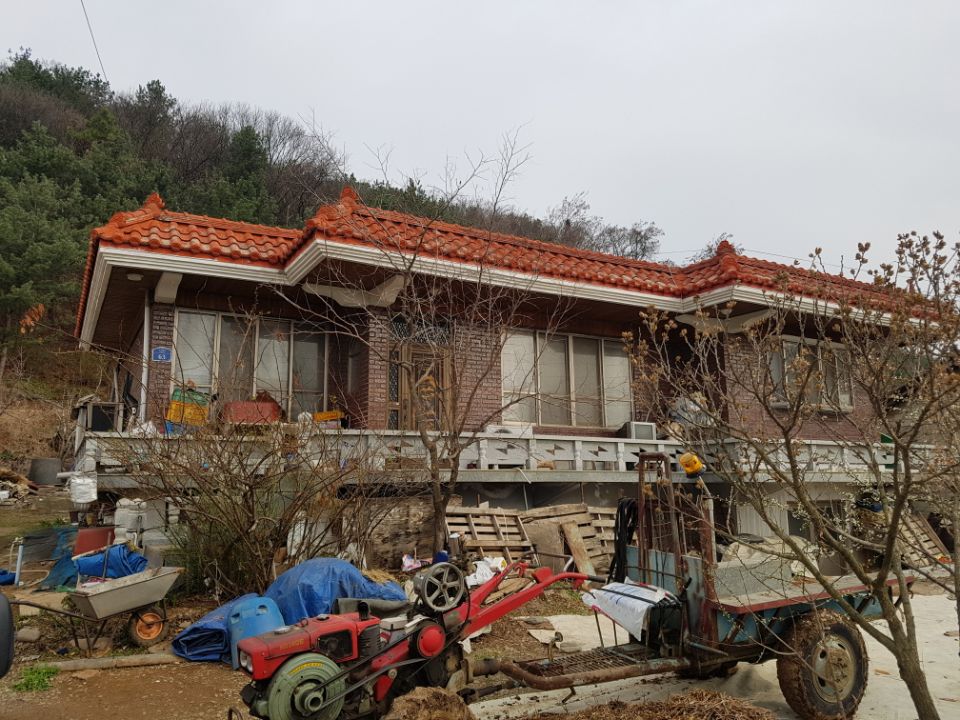 오리골 이미지