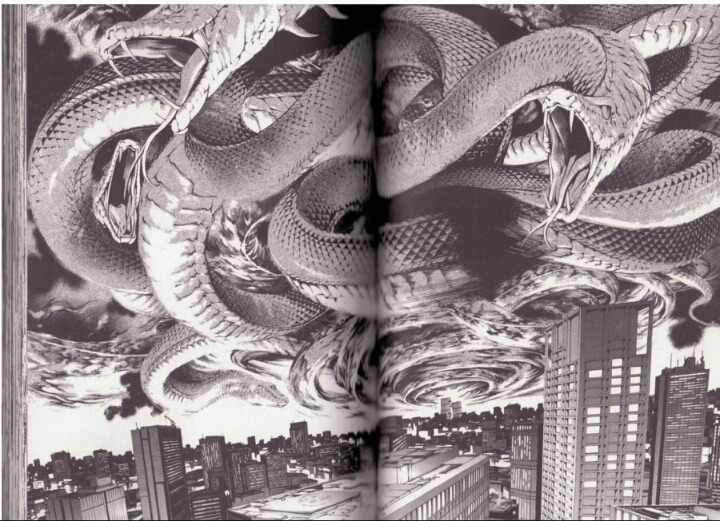 그림 실력은 일본에서도 둘째라면 서러운 만화 작가.jpg | 인스티즈