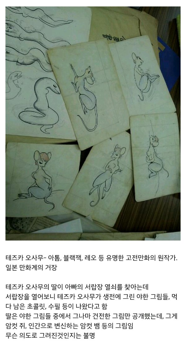 죽기 전에 하드를 포맷해야하는 이유 | 인스티즈