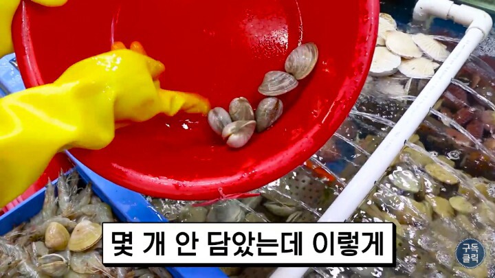 수산물 시장가서 유심히 봐야할 저울 사기치는 방법 | 인스티즈