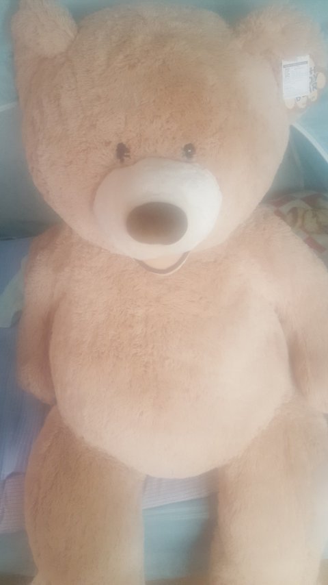 여자분들 곰인형싫어하시나요? 화내는 결혼할 여자친구 | 인스티즈