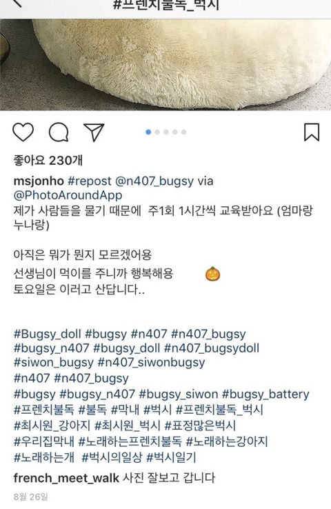 최시원 쉴드가 어려워진 이유 | 인스티즈