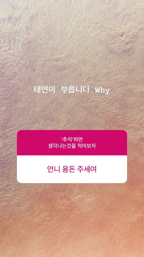 오늘자 탱구 인스타 답변 | 인스티즈