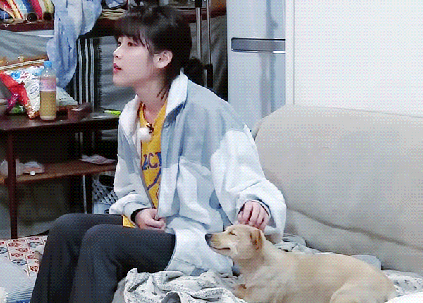 아이유의 손길.gif | 인스티즈