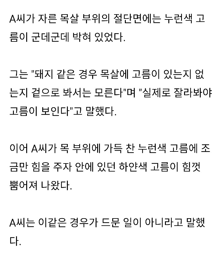 정육업자가 폭로한 '돼지 목살' 함부로 먹으면 안되는 이유(혐오주의) | 인스티즈
