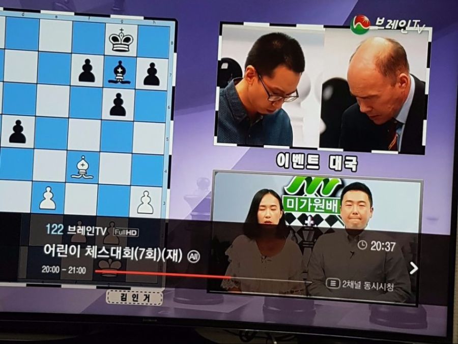 체스 이미지