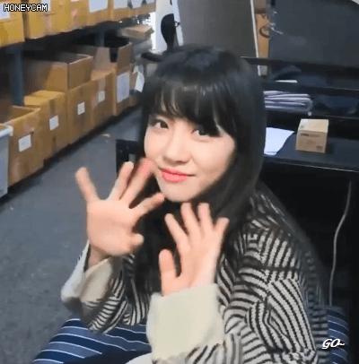 냥이 코커 김민아 | 인스티즈