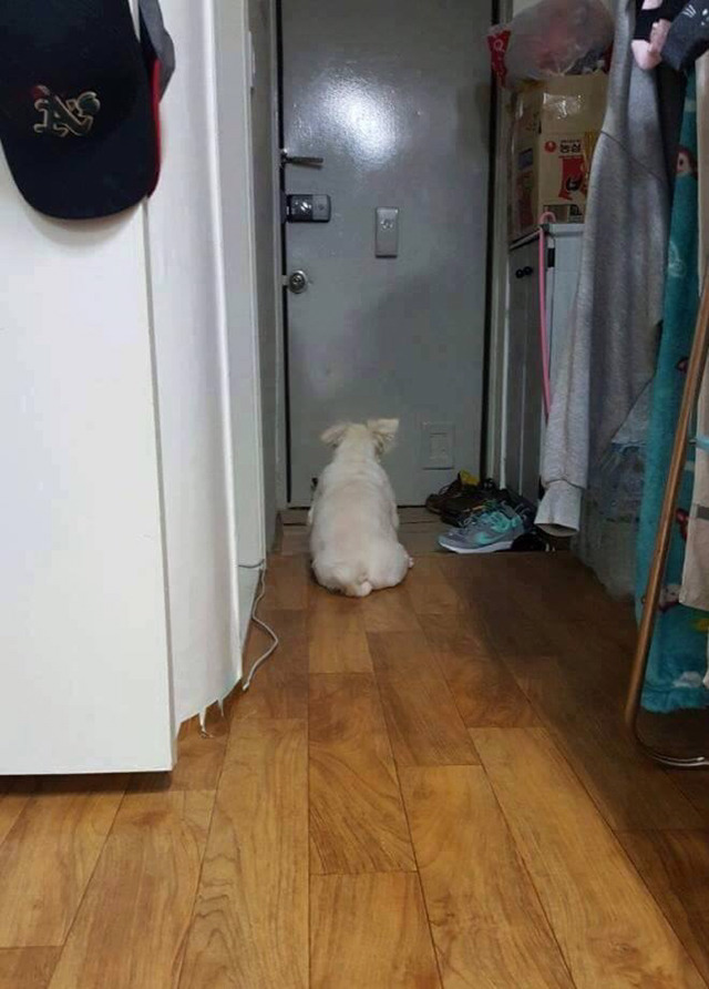 때문이라도 집에 일찍보내주자!!!!! | 인스티즈