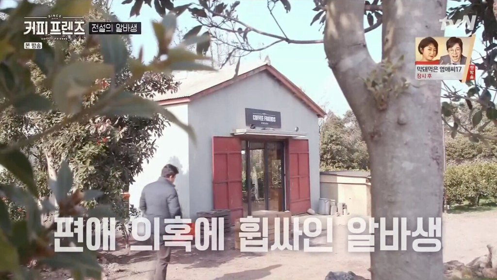 제주도에 알바하러간 백종원 | 인스티즈