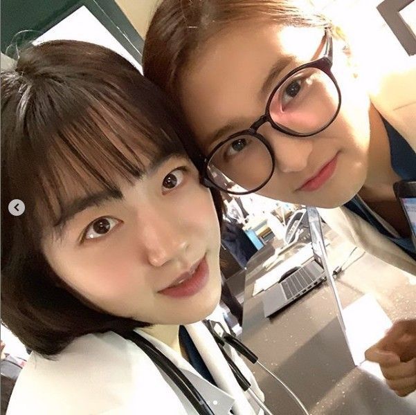 보라 이미지