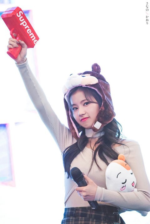 트와이스 사나 | 인스티즈