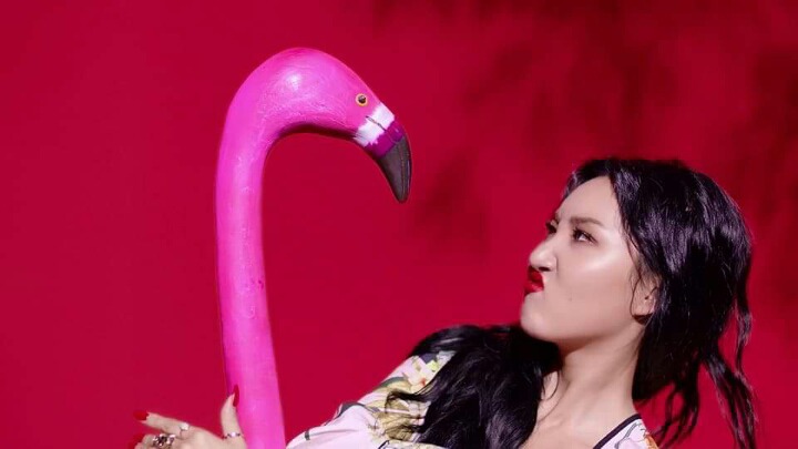 마마무 화사 랜덤짤 | 인스티즈