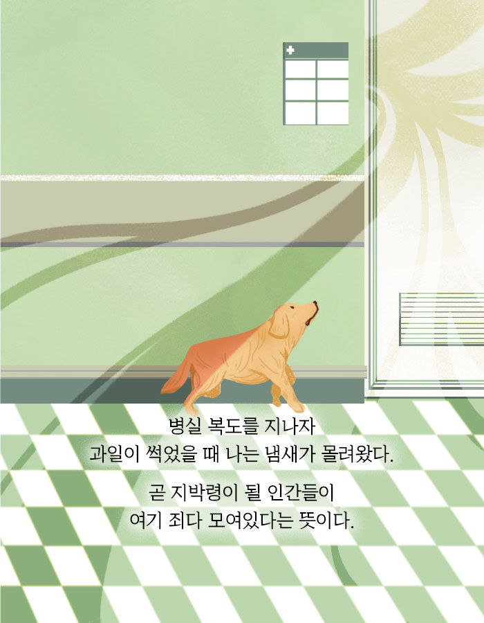 [책소개] 개의 모습으로 인간 세계에 내려온 저승사자 | 인스티즈