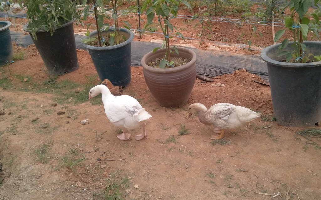 세심 이미지