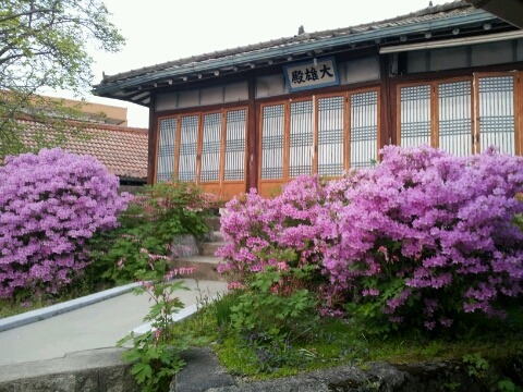cafe 봄날 이미지